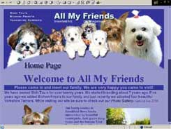 All My Friends
