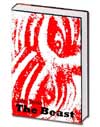 Book Cover Design