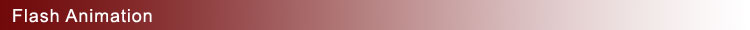 Flash Animation