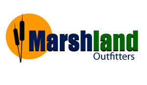 Logo Design examples