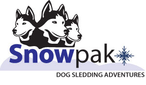 Logo Design examples